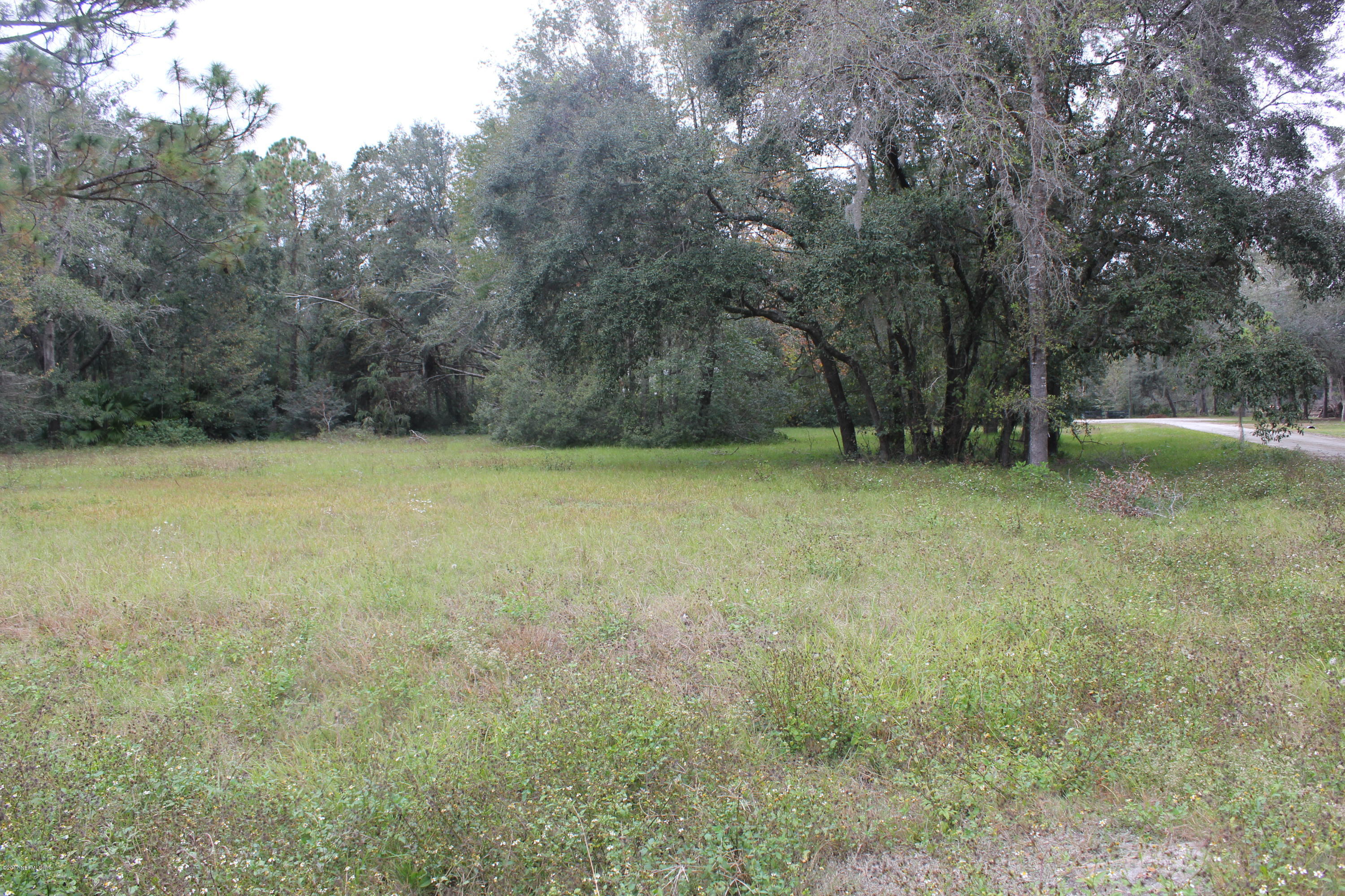 0 95th Street Hampton, FL 32044 - Photo 1 of 11 IMG_9362