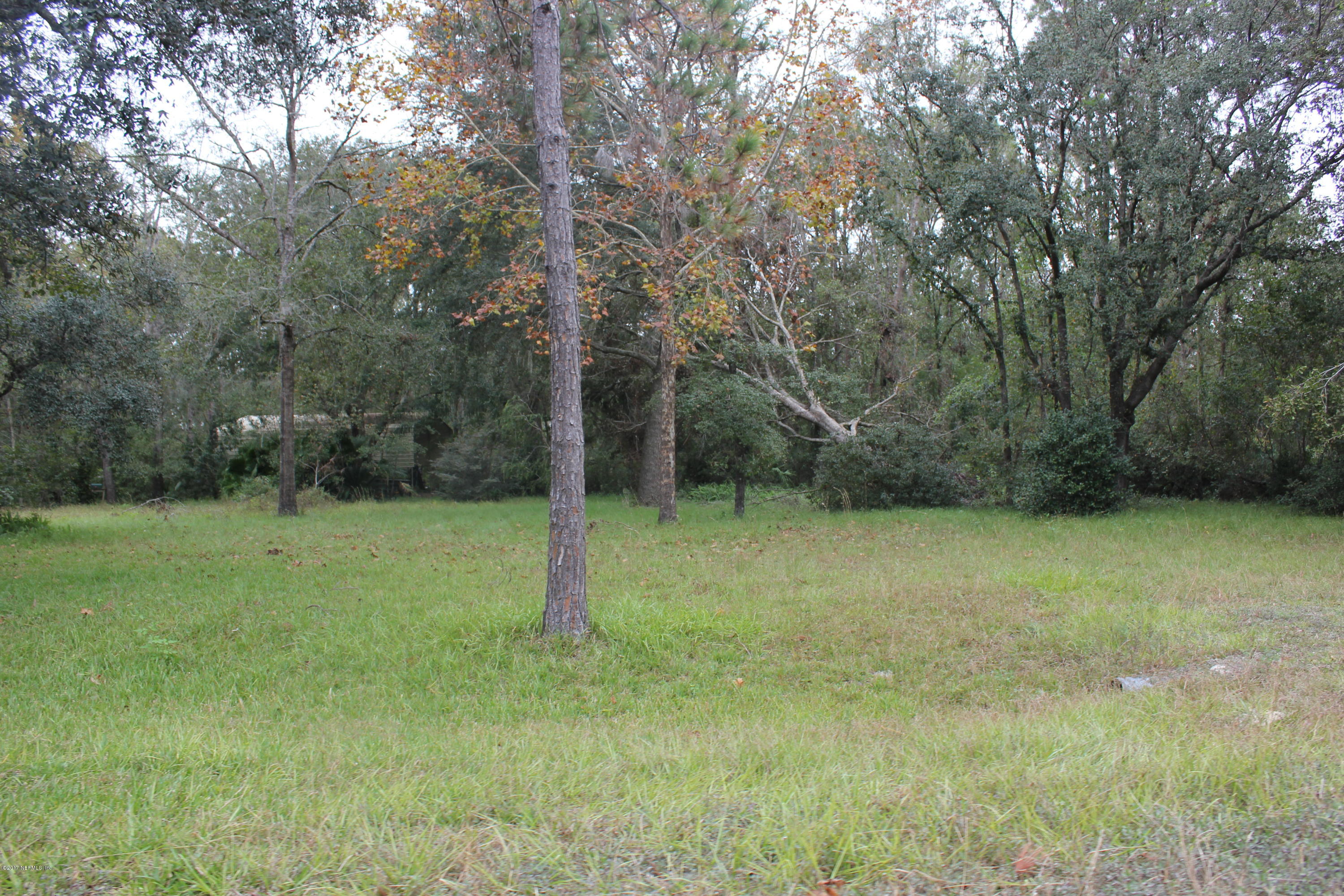 0 95th Street Hampton, FL 32044 - Photo 11 of 11 IMG_9373