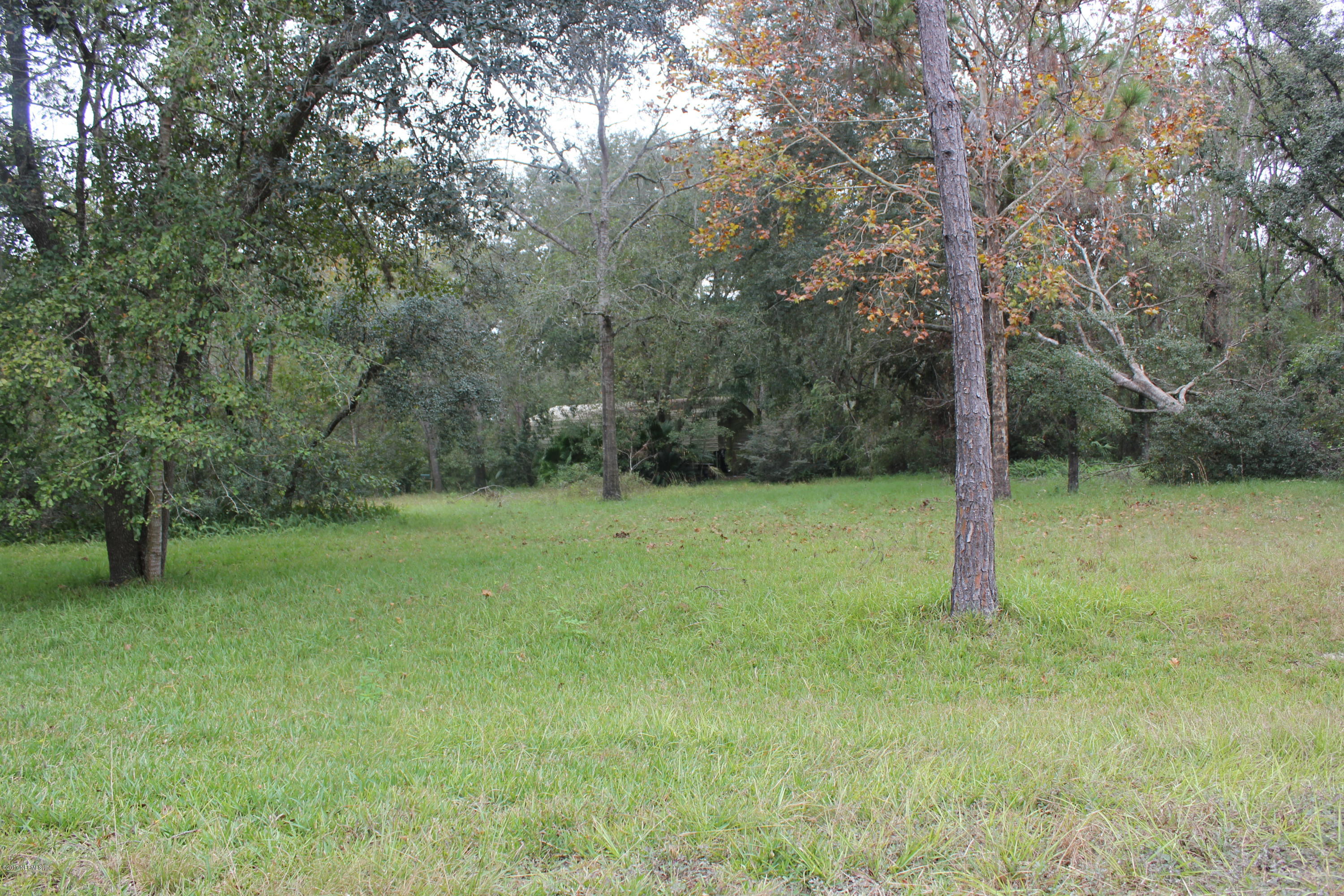 0 95th Street Hampton, FL 32044 - Photo 10 of 11 IMG_9372