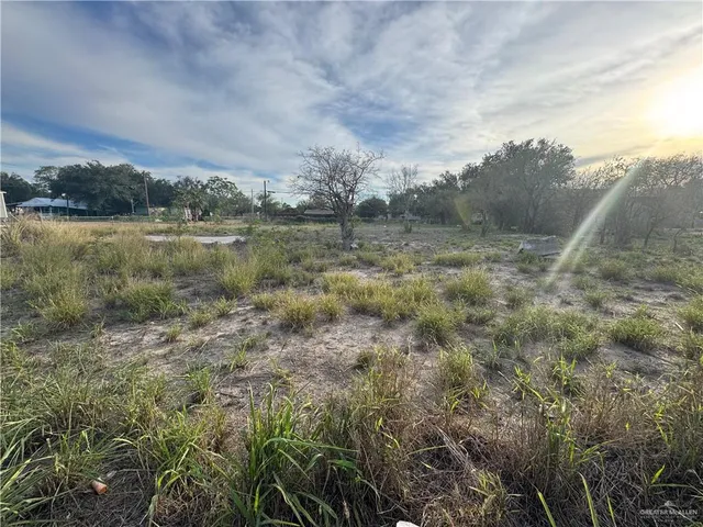 a view of a field with trees in the background