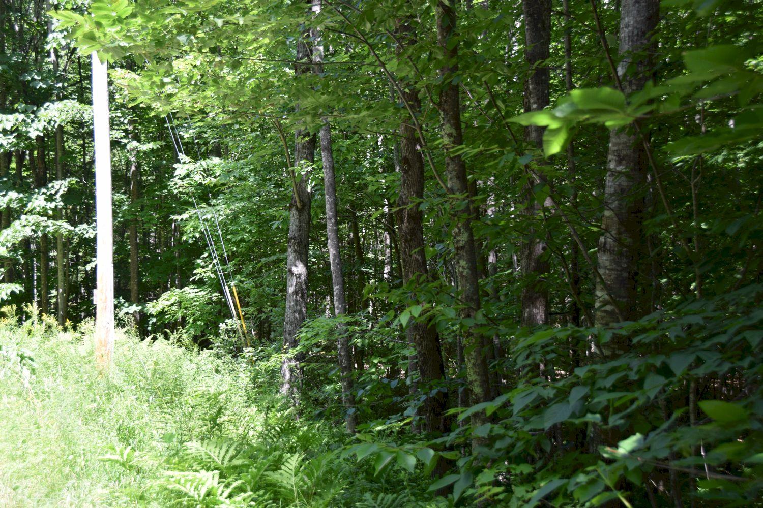 225 Hemlock Road Belgrade, ME 04917 - Photo 2 of 21 DSC_0103