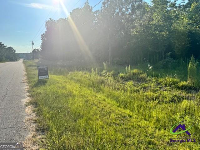 8641 Hopewell Road Lizella, GA 31052 - Photo 1 of 3