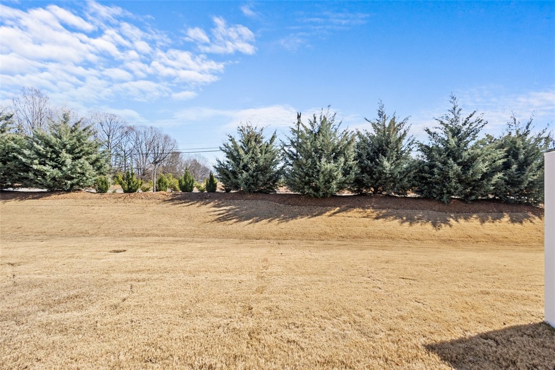 31 Alkanet Way Greenville, SC 29607 - Photo 24 of 29