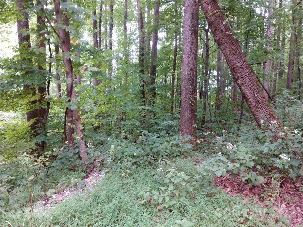 0 Summit Road, Unit 342 Tryon, NC 28782 - Photo 22 of 22 a view of forest