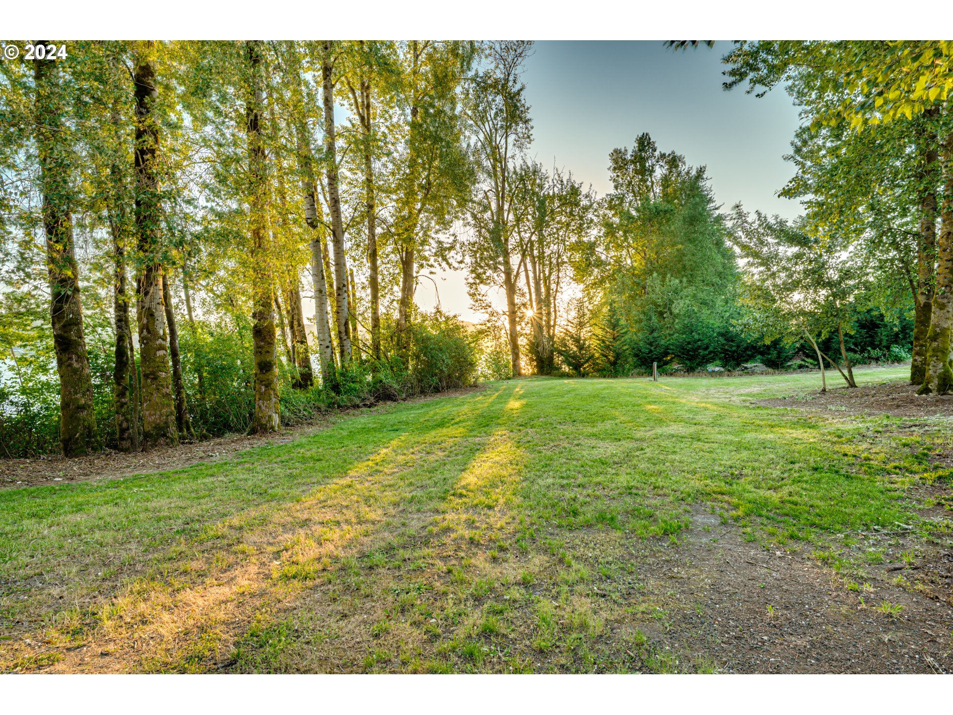 2825 Dike Road Woodland, WA 98674 - Photo 46 of 48 a view of a yard with a tree
