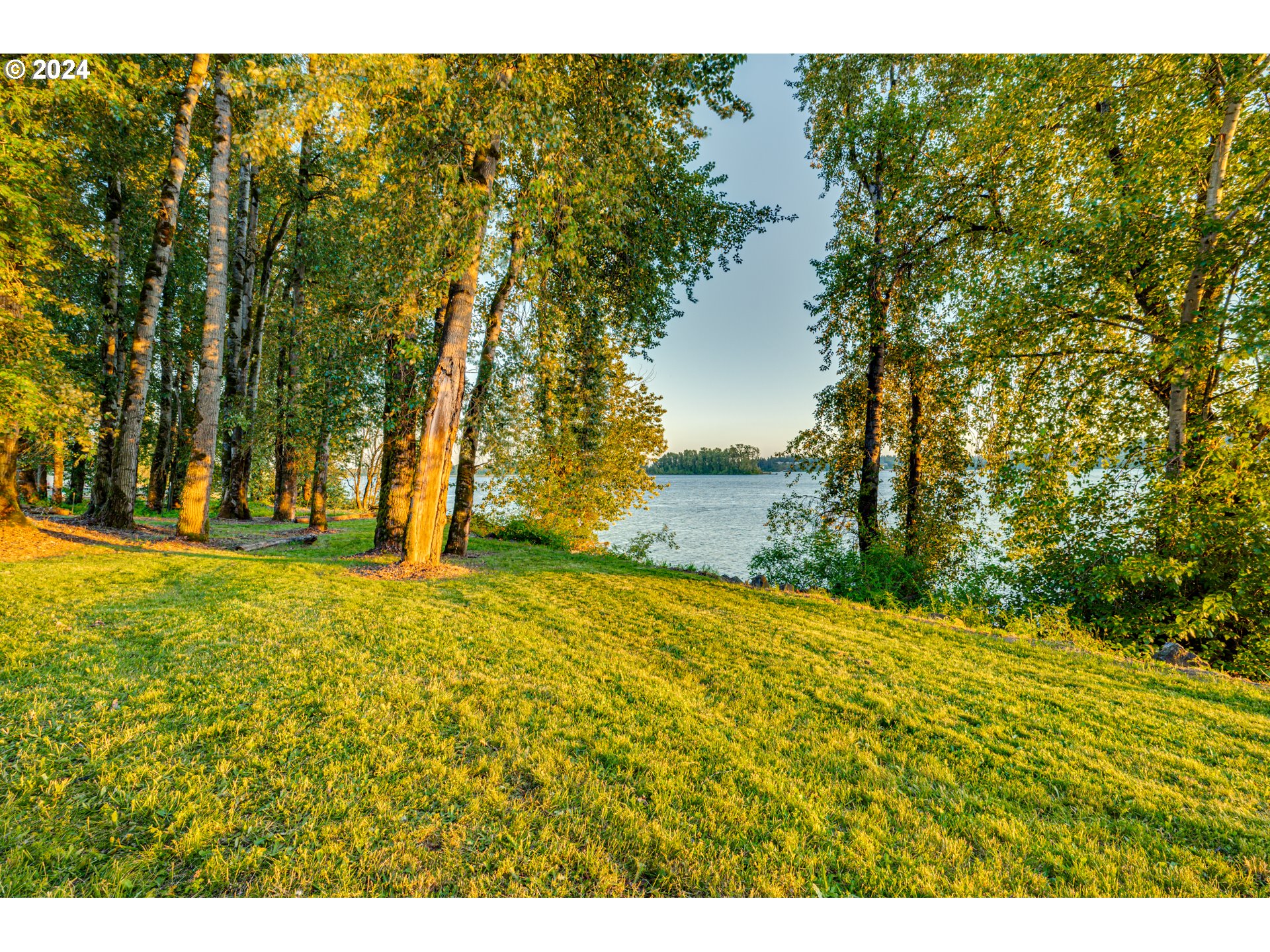2825 Dike Road Woodland, WA 98674 - Photo 48 of 48 a view of yard with trees