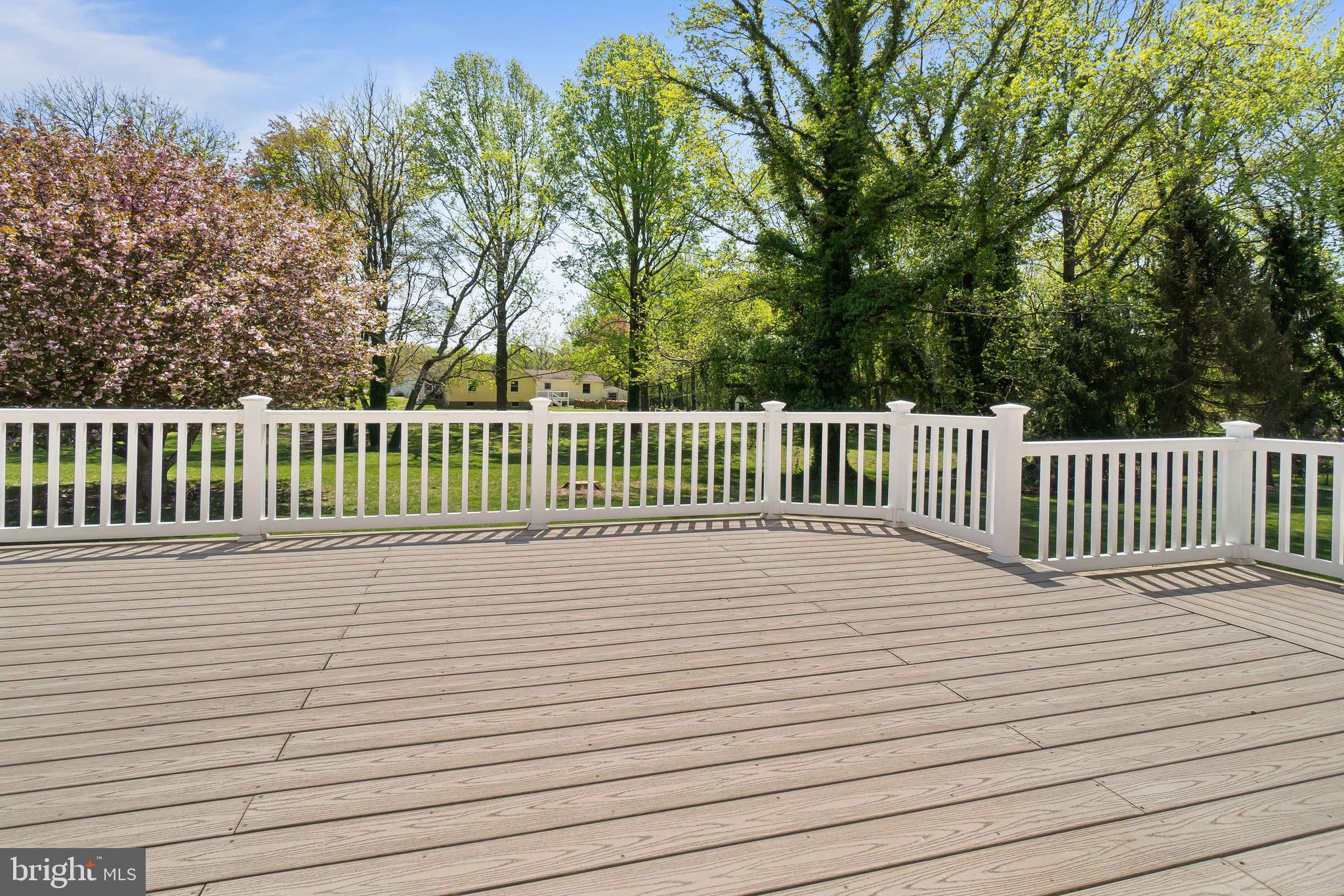 310 River Road Elkton, MD 21921 - Photo 18 of 29 Trex Deck 24'x16'