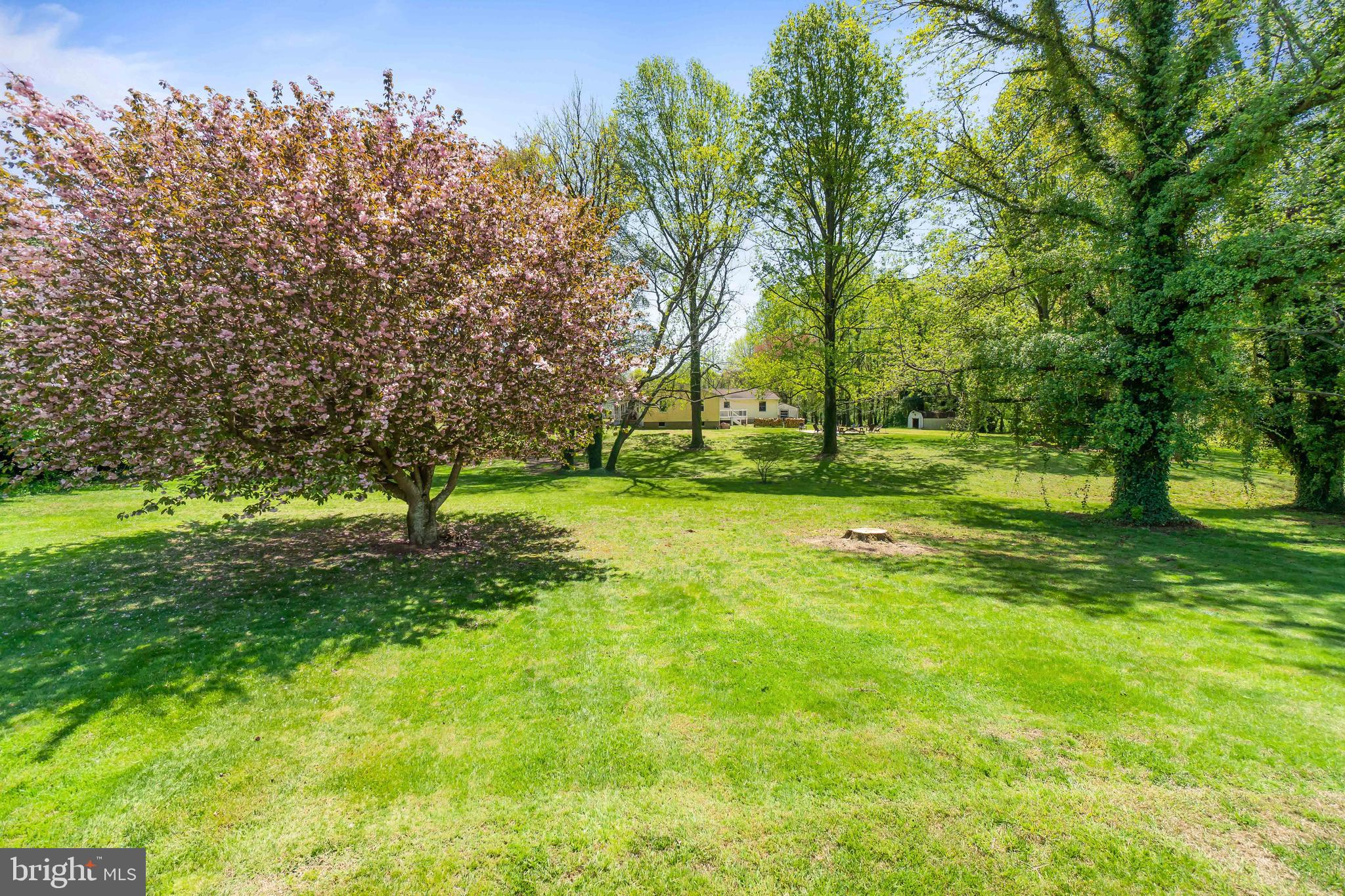 310 River Road Elkton, MD 21921 - Photo 23 of 29 Yard Space