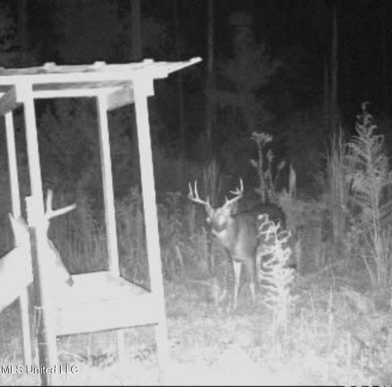 1351 Meadville Road Union Church, MS 39668 - Photo 35 of 38 A3A14F4C-2206-4720-990B-A808C5213672