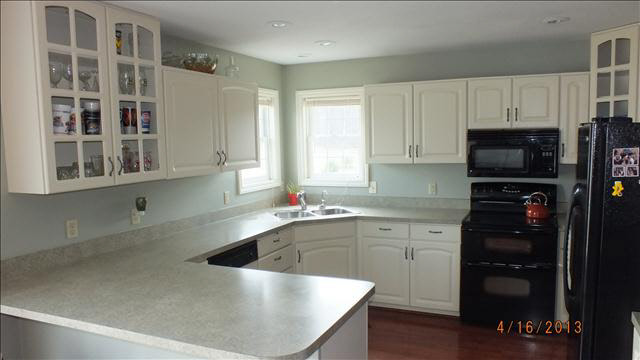 13111 Lulu Road Ida, MI 48140 - Photo 5 of 16 Kitchen