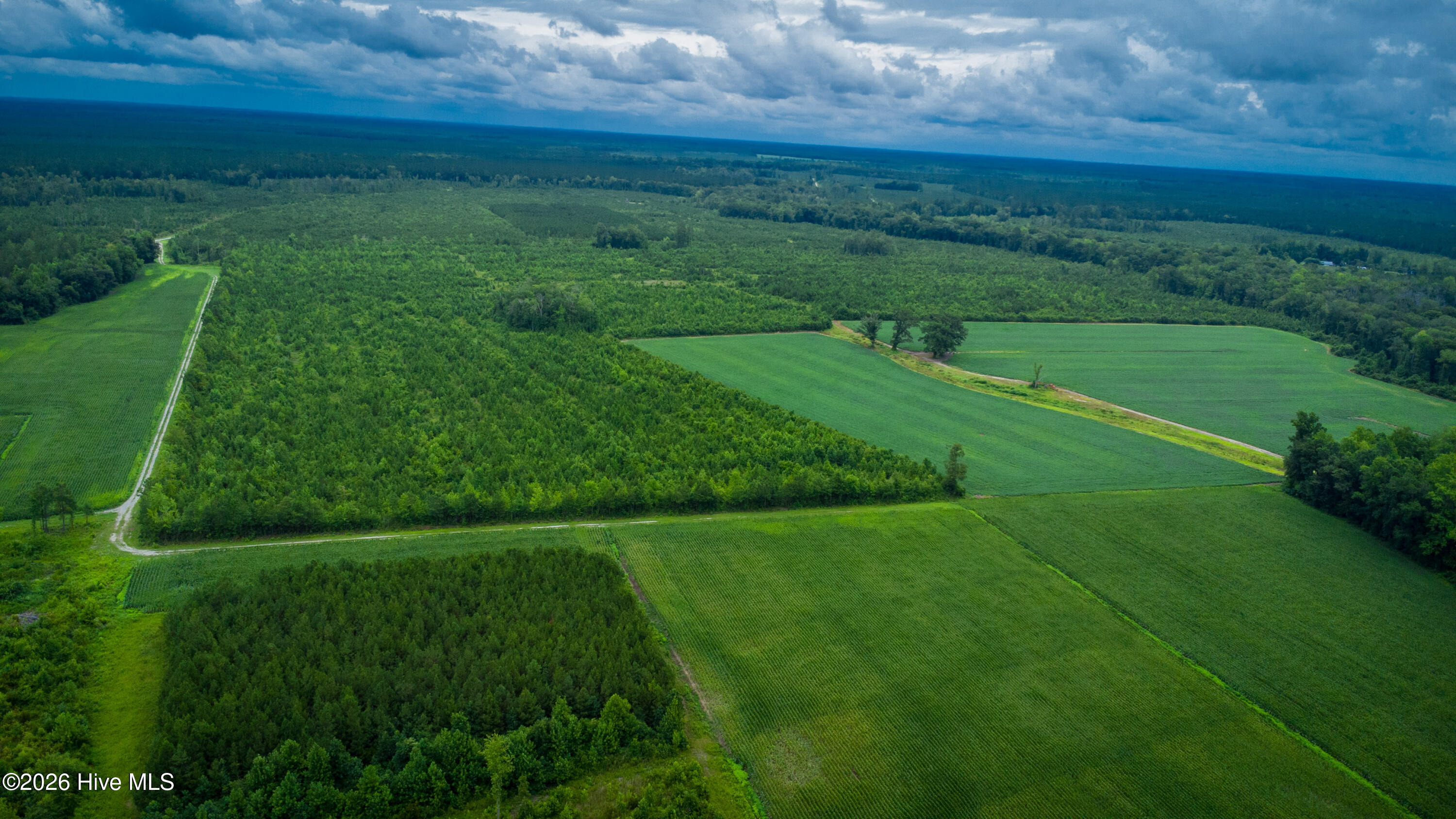 1601 Hill Neck Road Ernul, NC 28527 - Photo 12 of 33 Over 230 Acres of Opportunity