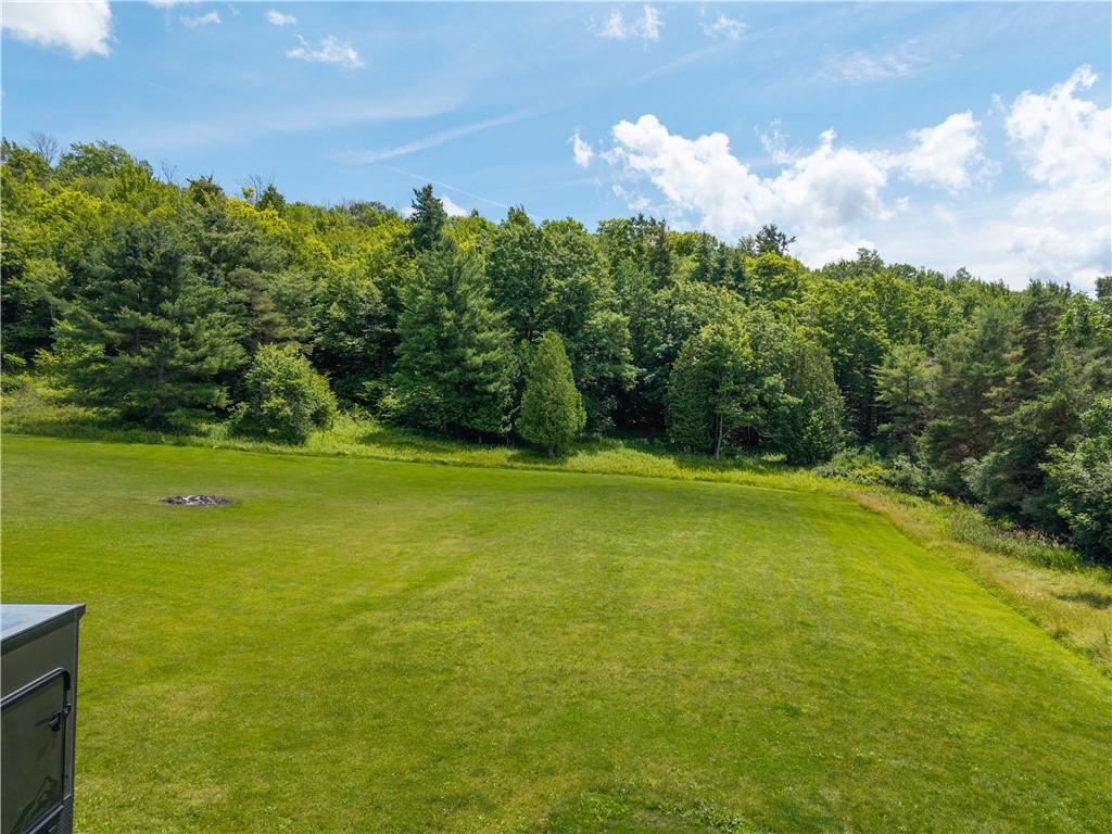 192 Alfred Station Road Hartsville, NY 14803 - Photo 40 of 50
