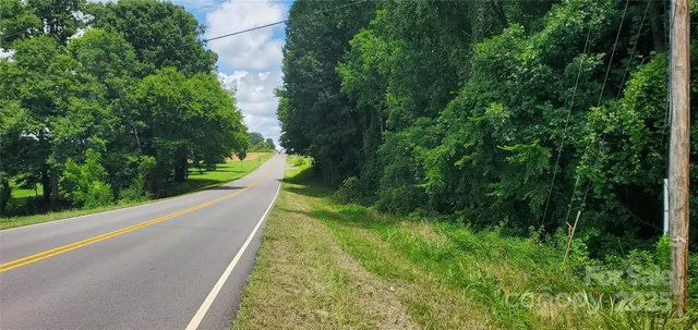 a view of a yard with plants