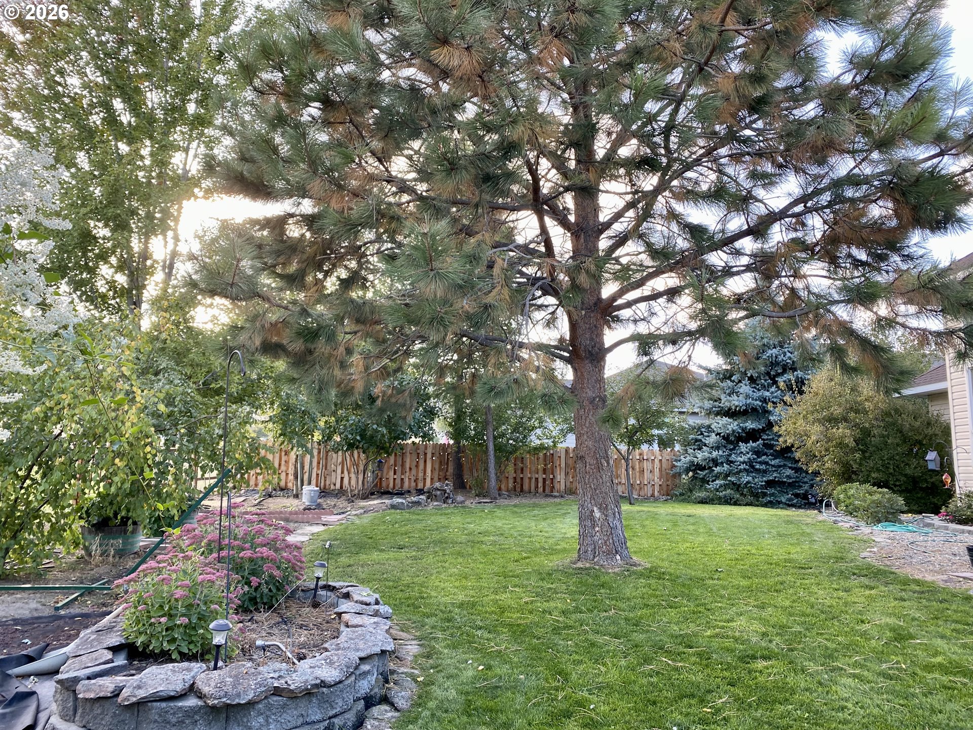 3555 Indiana Avenue Baker City, OR 97814 - Photo 39 of 43 a green field with lots of trees