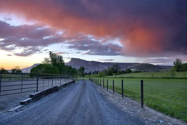 a view of a yard with wooden fence