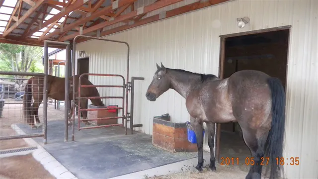 a view of building with car parked