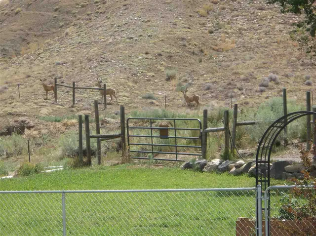 $2,100,000 | 3575 E Road, Palisade, CO 81526