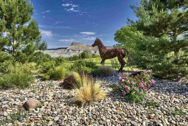 a view of a garden with a fountain