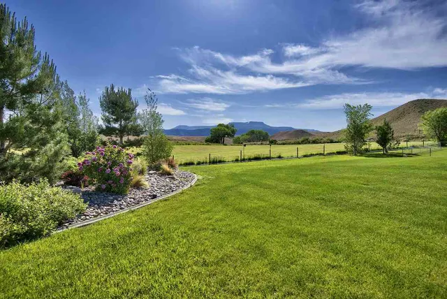 a view of a garden with a building in the background