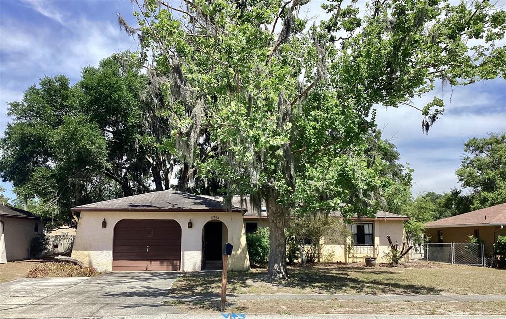 12830 Lake Tree Lane Hudson, FL 34669 - Photo 1 of 30