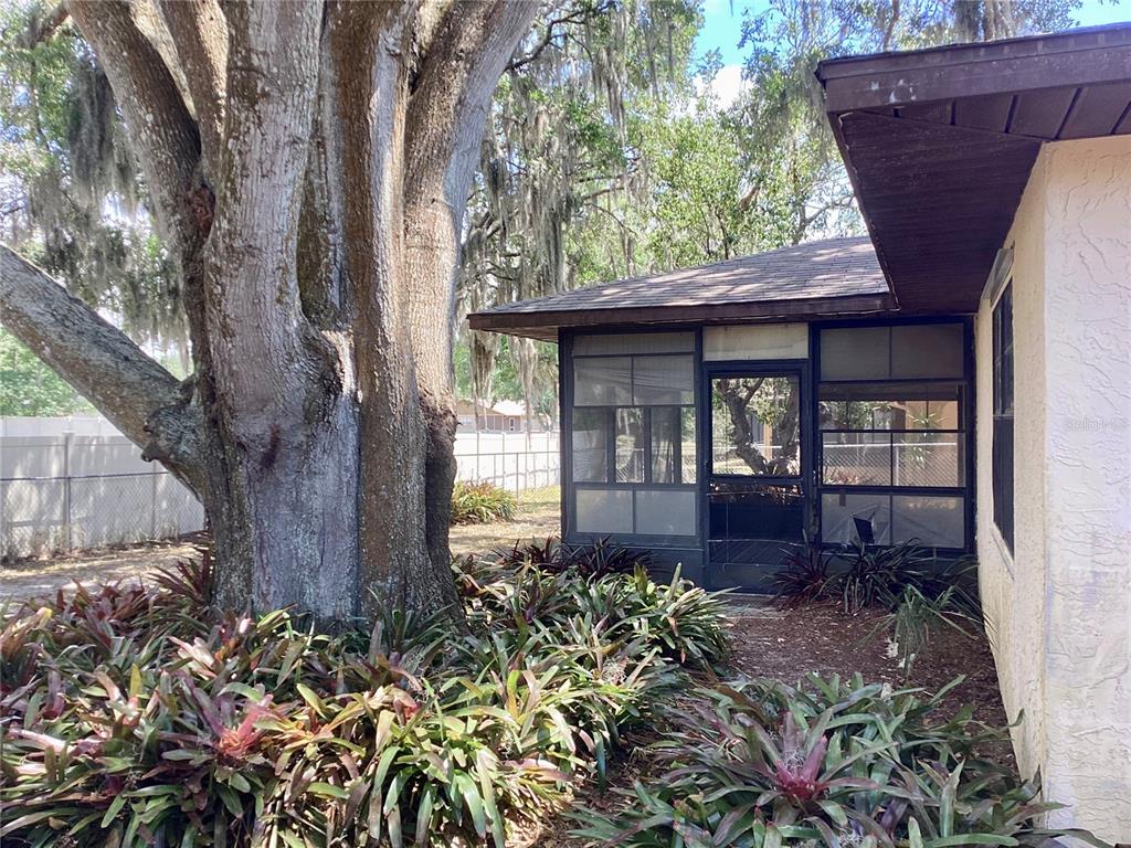12830 Lake Tree Lane Hudson, FL 34669 - Photo 27 of 30