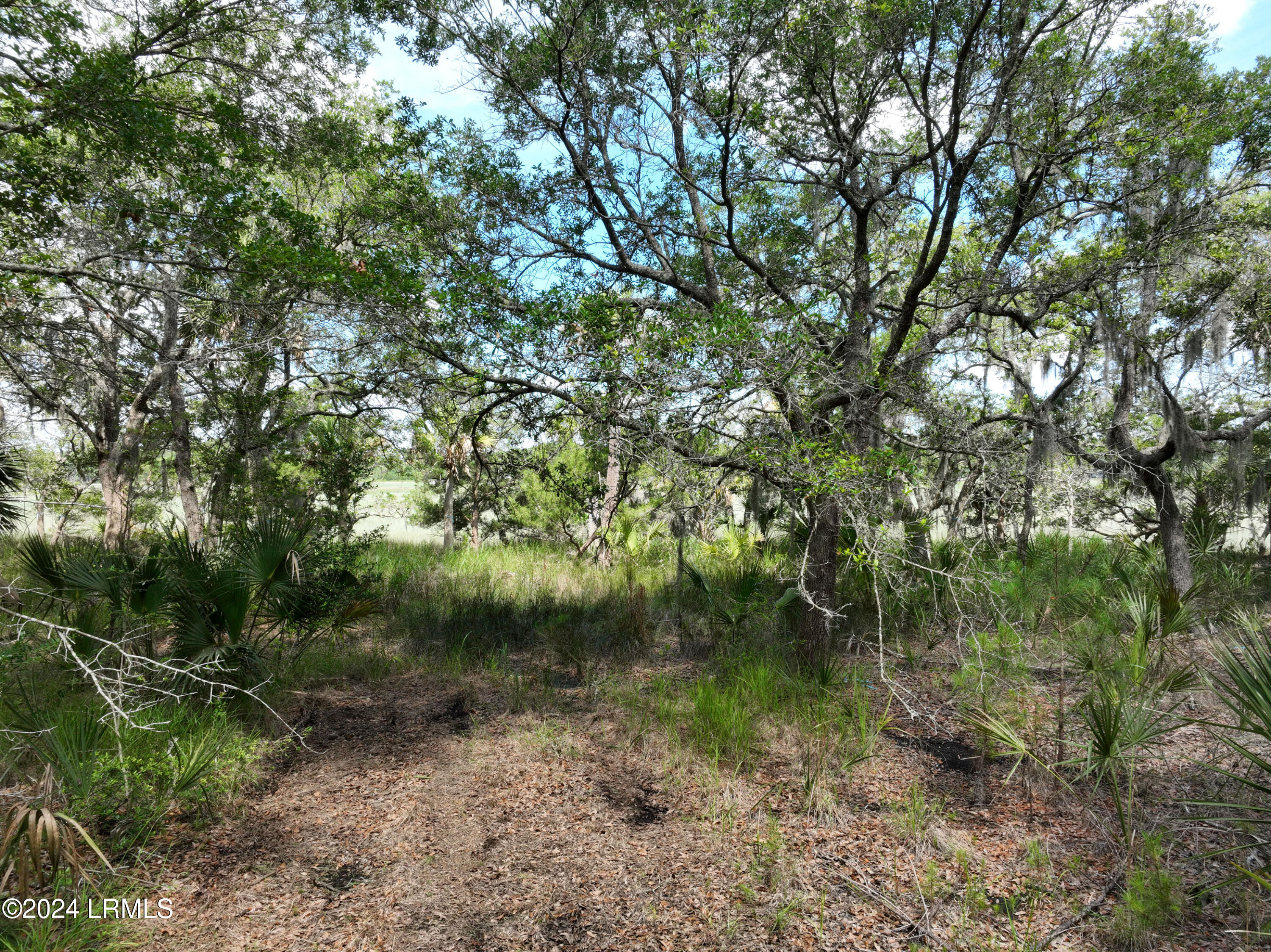 39 Net Menders Loop St. Helena Island, SC 29920 - Photo 2 of 16 39 Net Menders Loop 1