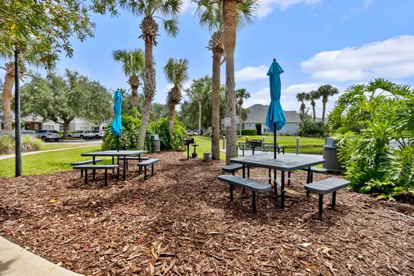 a view of a park with plants and a bench