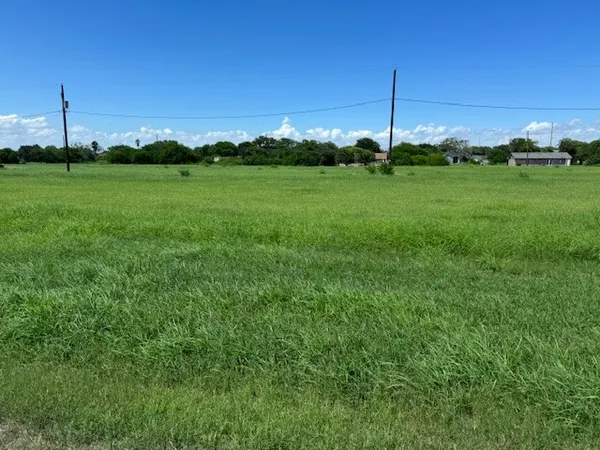 a view of a field with a big yard