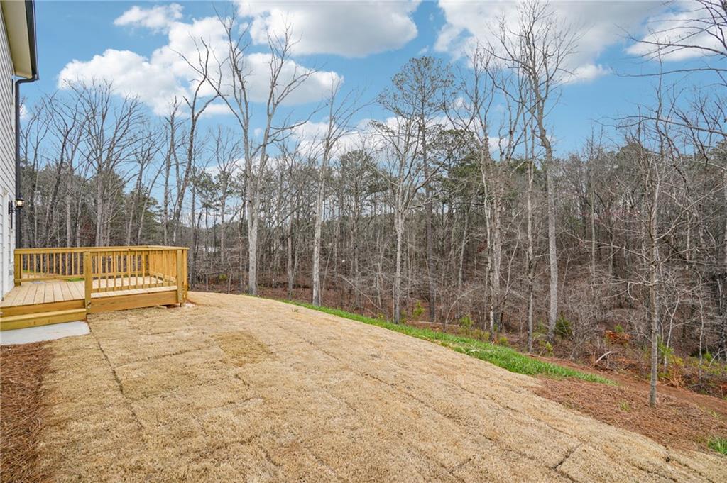 6939 Winchester Place Fairburn, GA 30213 - Photo 52 of 56 a view of a yard with trees