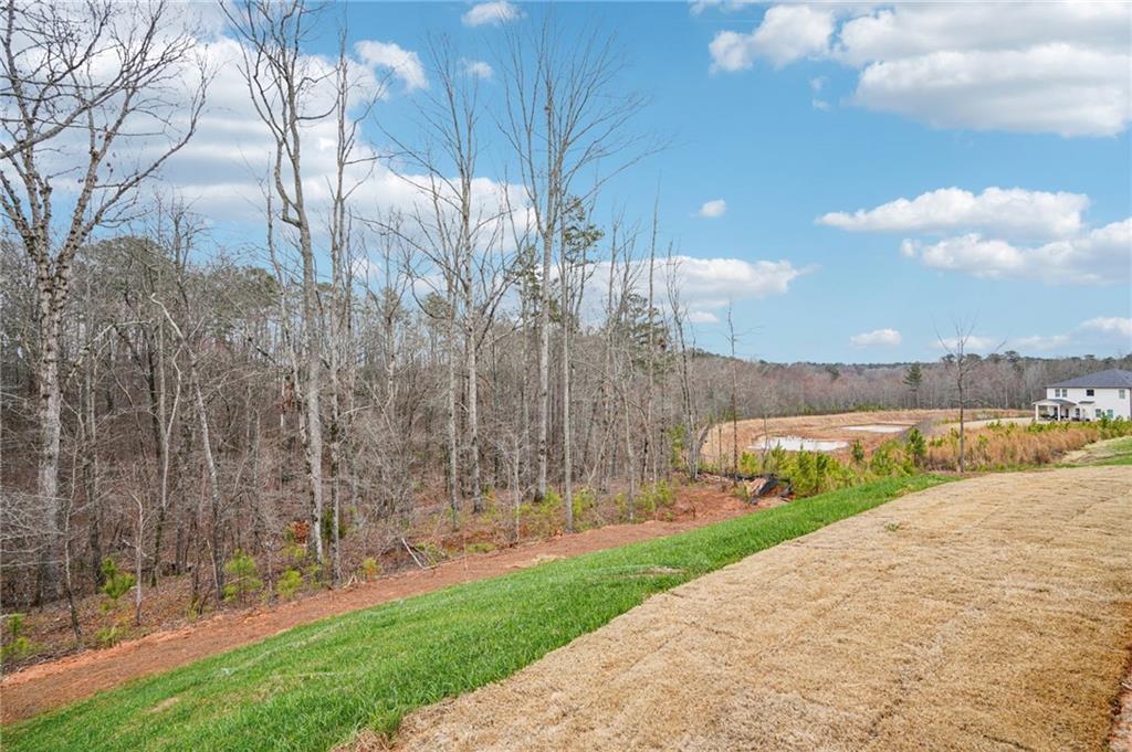 6939 Winchester Place Fairburn, GA 30213 - Photo 56 of 56 a view of a pathway with a yard