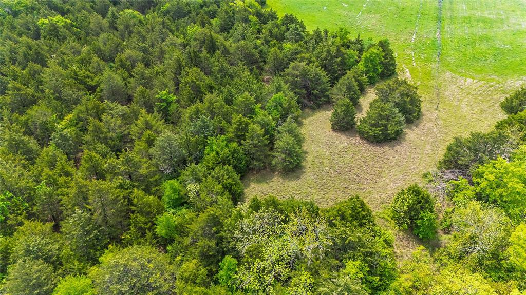 4511 County Road 4511 Commerce, TX 75428 - Photo 12 of 37 a view of a garden