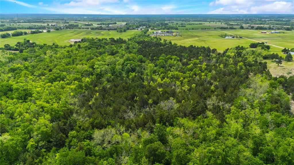 4511 County Road 4511 Commerce, TX 75428 - Photo 28 of 37 a view of a city with lush green forest