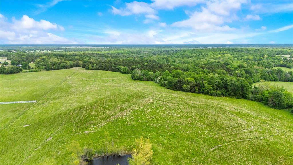 4511 County Road 4511 Commerce, TX 75428 - Photo 31 of 37 a view of a big yard with large trees