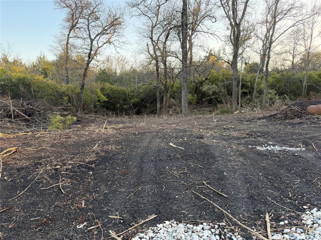 4511 County Road 4511 Commerce, TX 75428 - Photo 36 of 37 a view of a yard with trees
