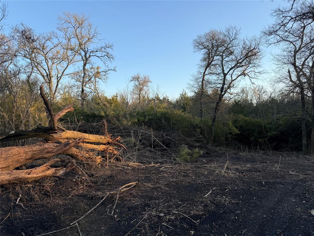 4511 County Road 4511 Commerce, TX 75428 - Photo 37 of 37 a view of outdoor space with trees