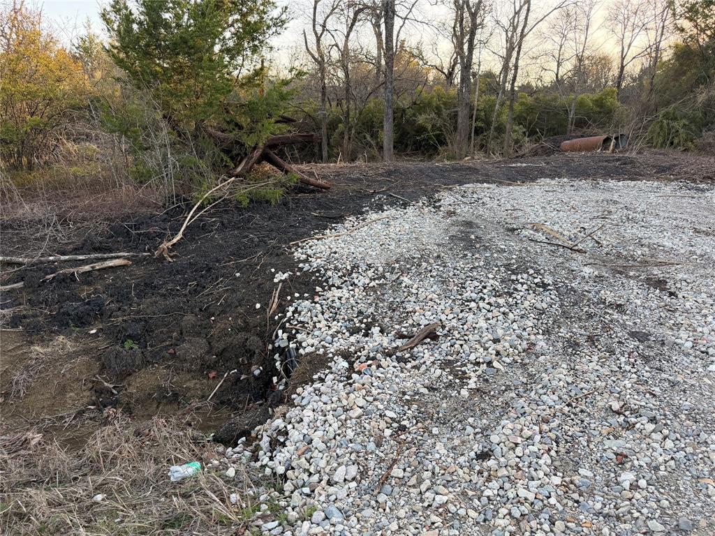 4511 County Road 4511 Commerce, TX 75428 - Photo 5 of 37 a view of a forest with trees in the background