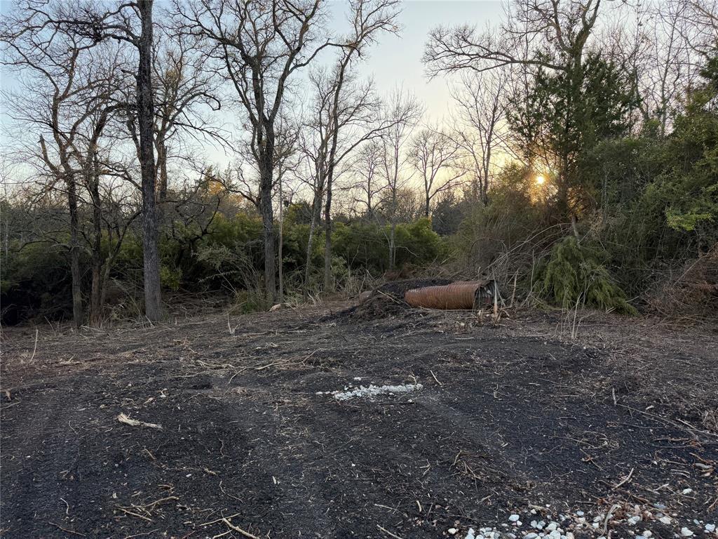 4511 County Road 4511 Commerce, TX 75428 - Photo 6 of 37 a view of a forest with trees in the background