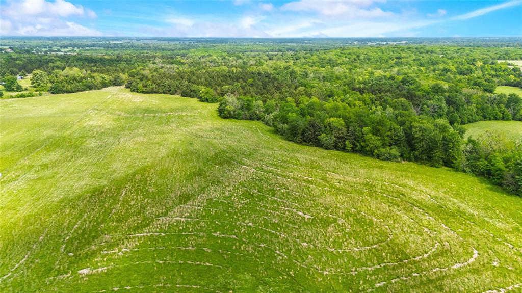 4511 County Road 4511 Commerce, TX 75428 - Photo 7 of 37 a view of an outdoor space and a yard