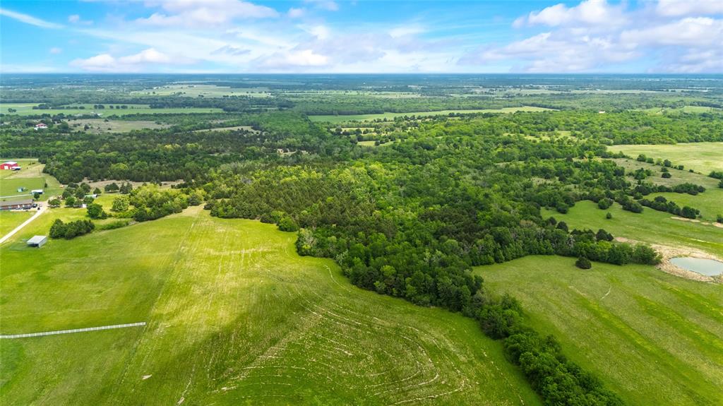 4511 County Road 4511 Commerce, TX 75428 - Photo 10 of 37 a view of a green yard