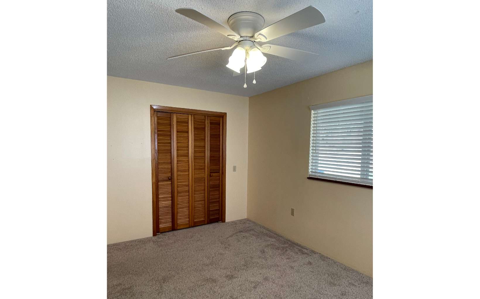 3520 Boiling Springs Road Murphy, NC 28906 - Photo 19 of 32 Additional View