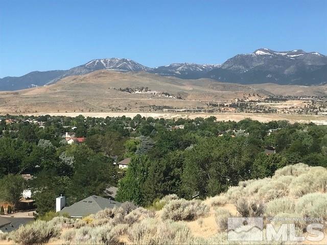 1400 Sioux Trail, Unit 5 Reno, NV 89521 - Photo 1 of 3 a view of an lake and mountain