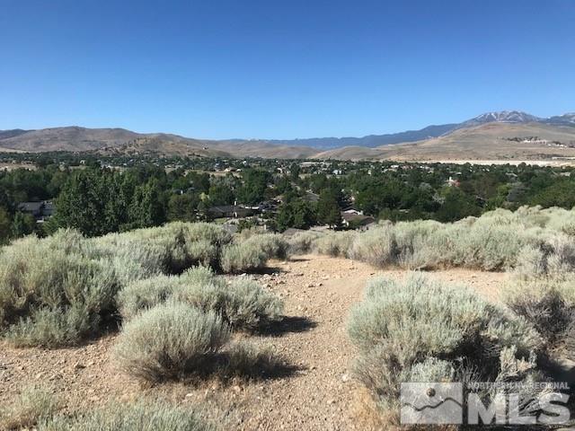 1400 Sioux Trail, Unit 5 Reno, NV 89521 - Photo 3 of 3 a view of a town with mountains in the background