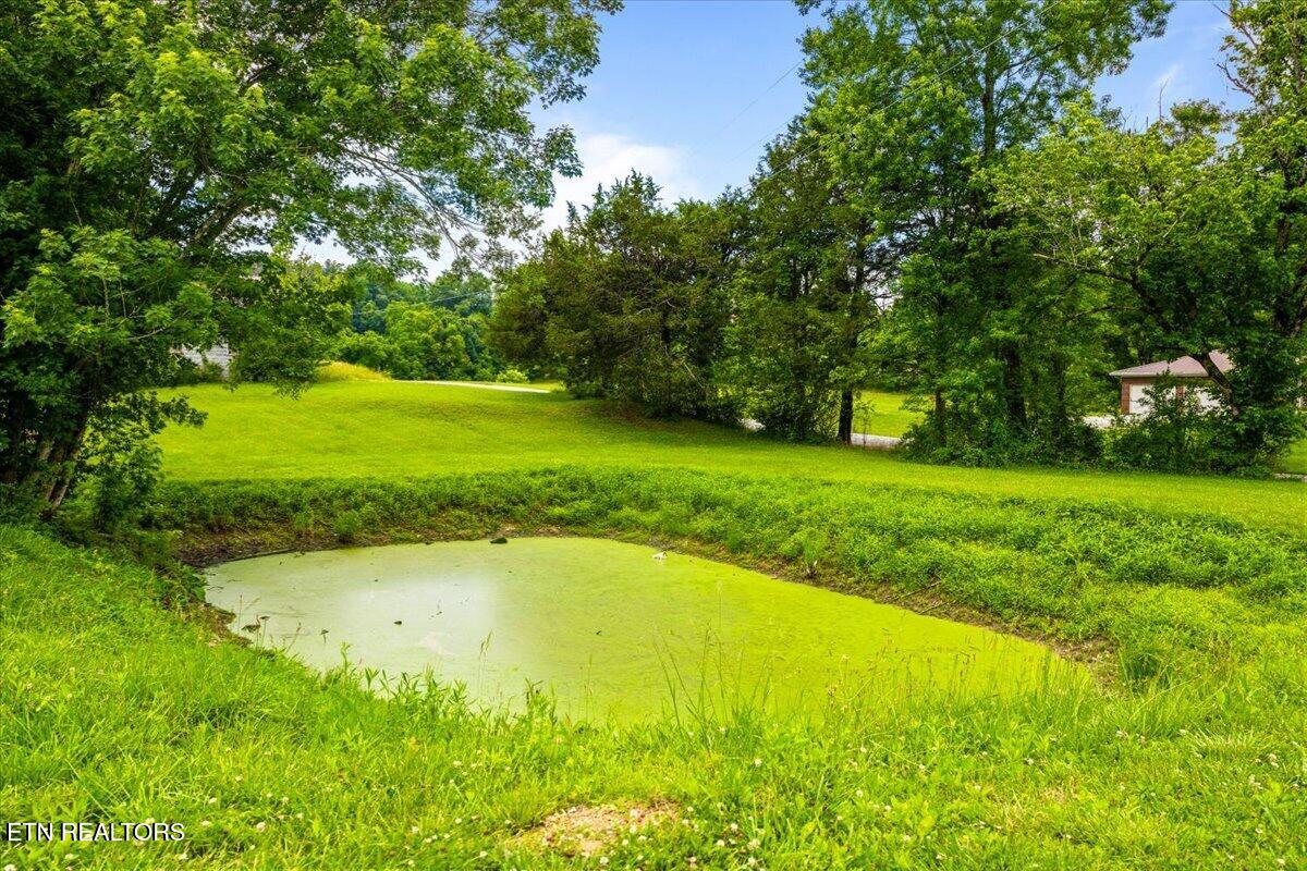 211 Pump Hollow Road Speedwell, TN 37870 - Photo 45 of 56 55-211 Pump Hollow Rd