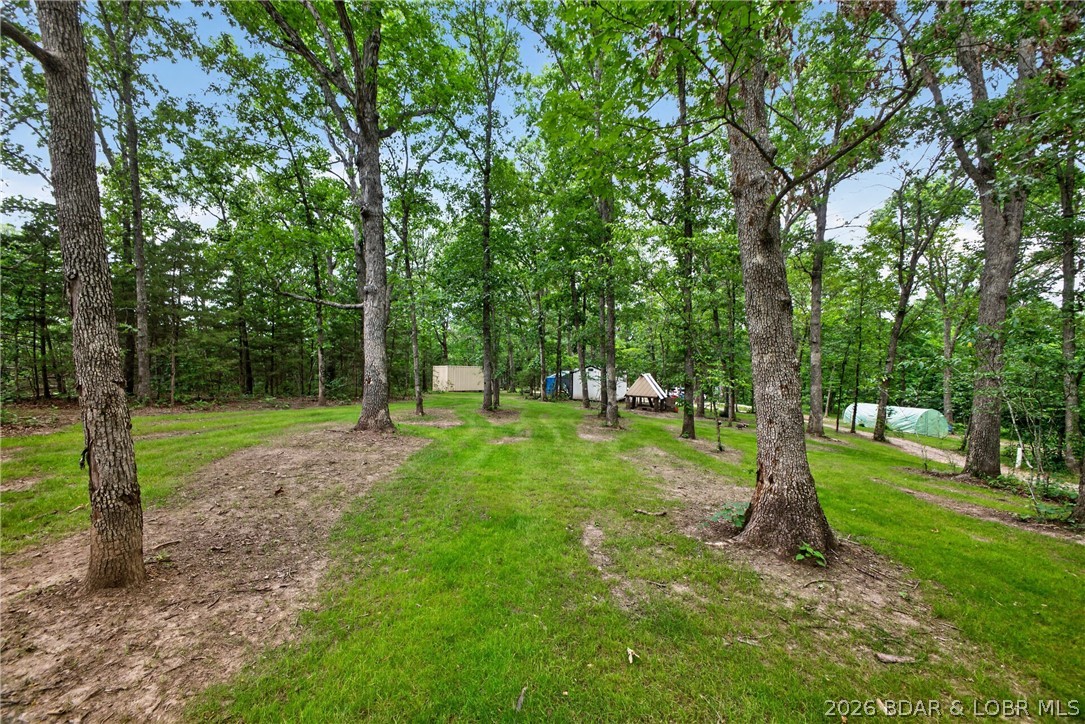 25145 State Route West Barnett, MO 65011 - Photo 32 of 58 Park-like glade, curated gathering space, Room to