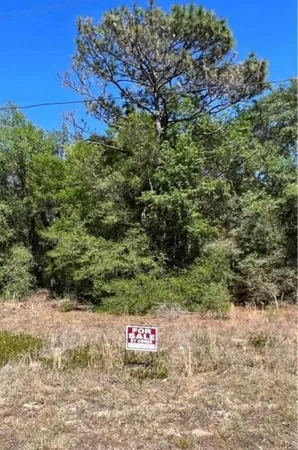 $25,500 | 12405 North Goldie Point, Dunnellon, FL 34433