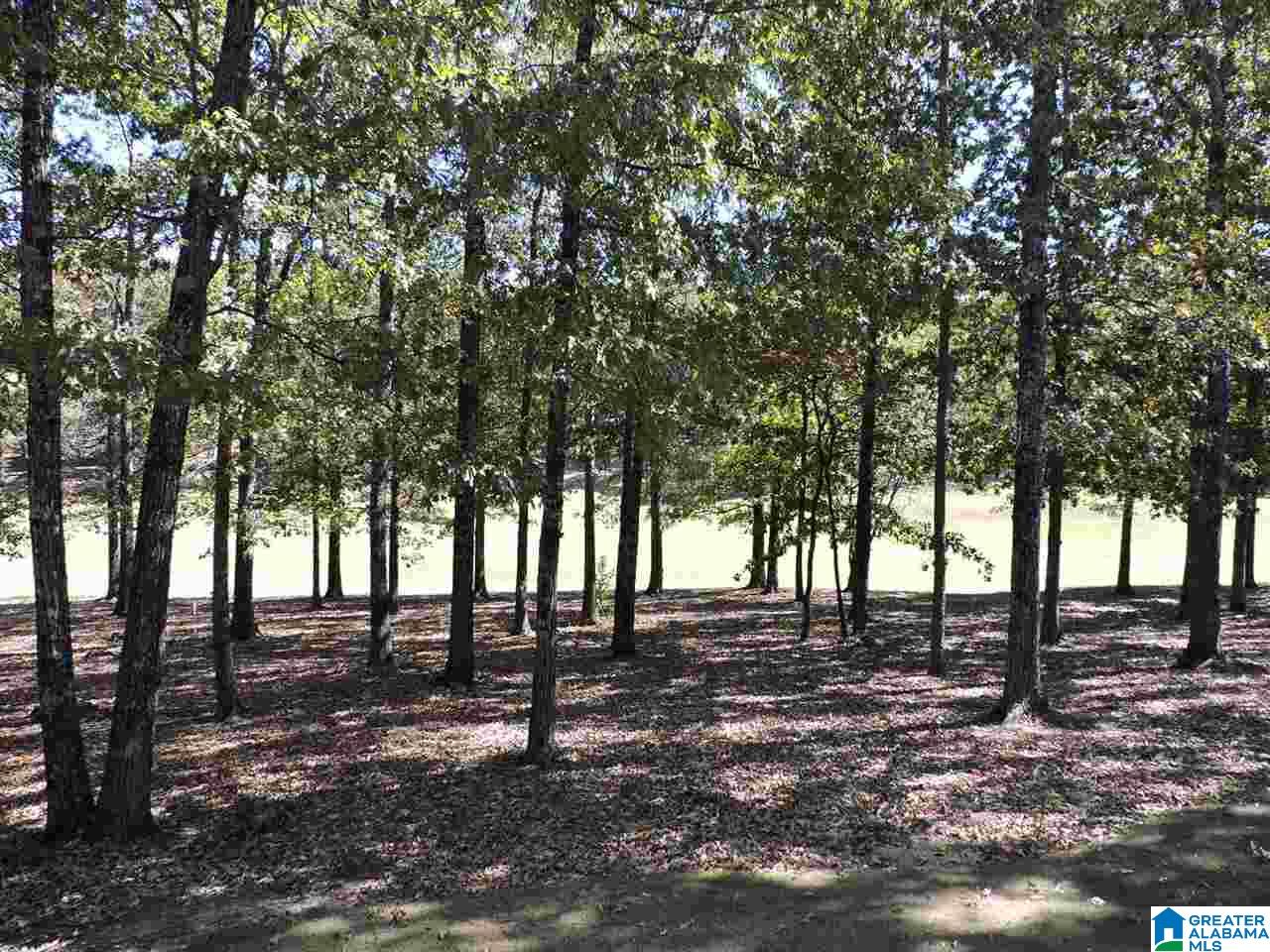 8222 Castlehill Road Birmingham, AL 35242 - Photo 20 of 47