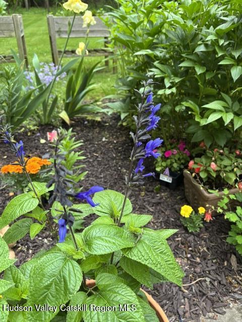 118 Maple Hill Road Rosendale, NY 12472 - Photo 28 of 41 118maplehillflower