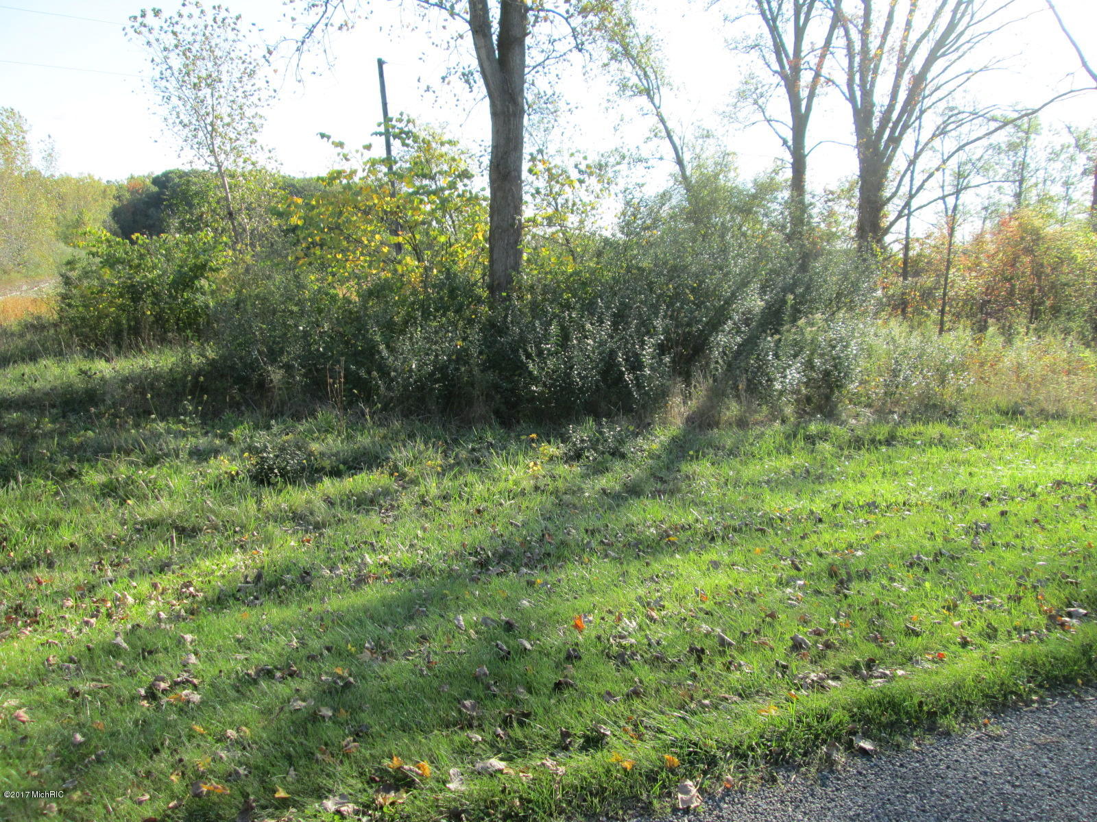 0 Harbert Road Three Oaks, MI 49128 - Photo 8 of 10 IMG_3184