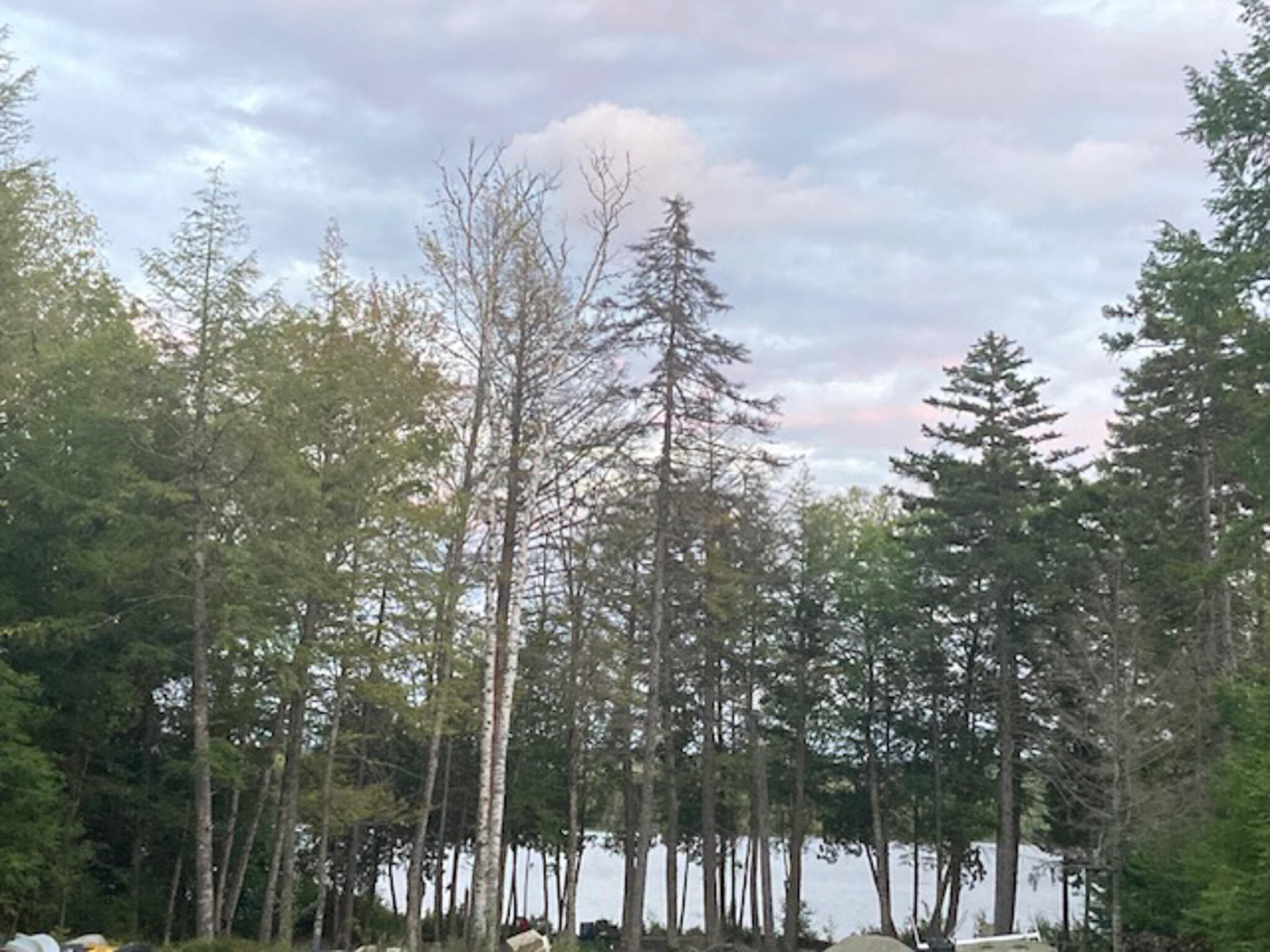 143 Egg Pond Road Lincoln, ME 04457 - Photo 7 of 18 7