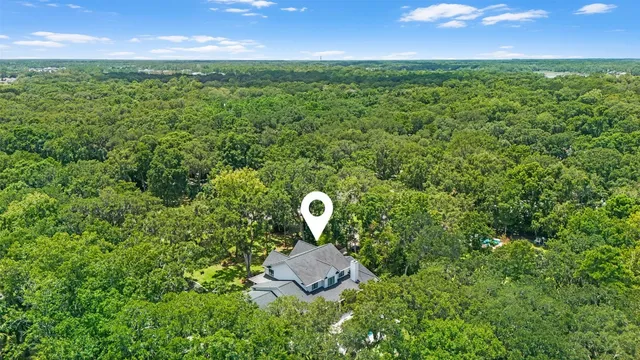 $1,649,000 | 96253 Palm Bluff Drive, Fernandina Beach, FL 32034